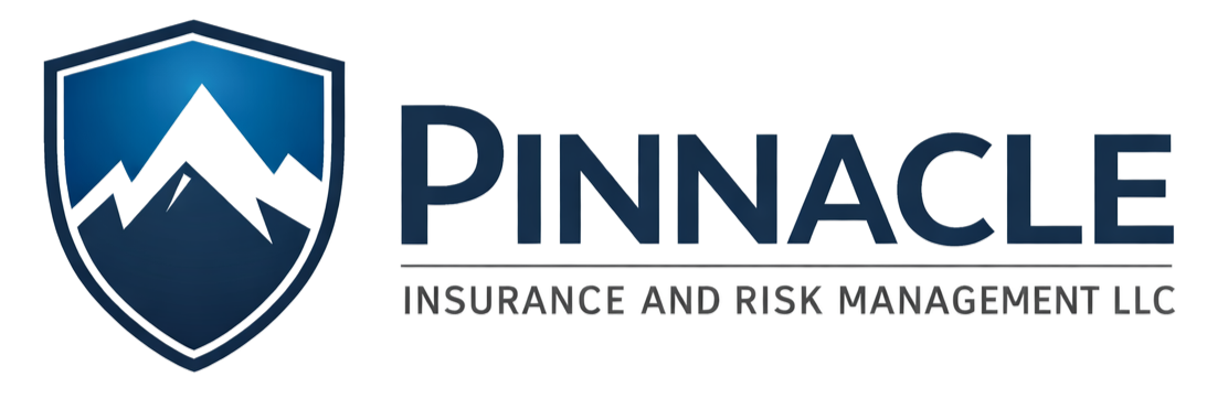 Pinnacle Insurance and Risk Management LLC Logo